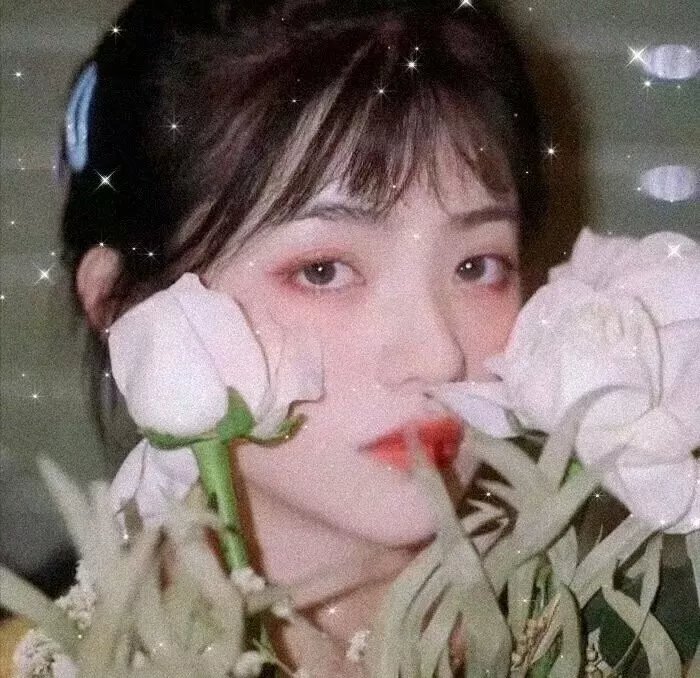 梦之森林